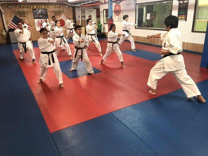 <center>Let Karate Mold You into a Brave and Optimistic Warrior<center>